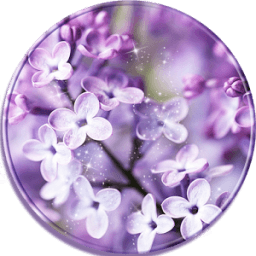 ikon Lavender Bunga Tema