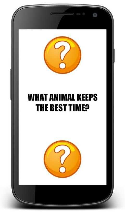 Funny Riddles - Free Jokes App 11 تصوير الشاشة