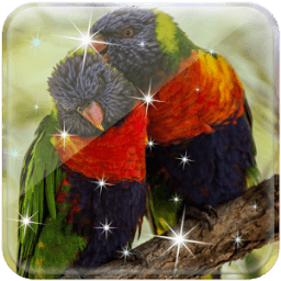 Birds Live Wallpaper आइकन