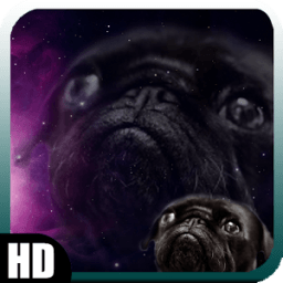 Pug Wallpaper أيقونة