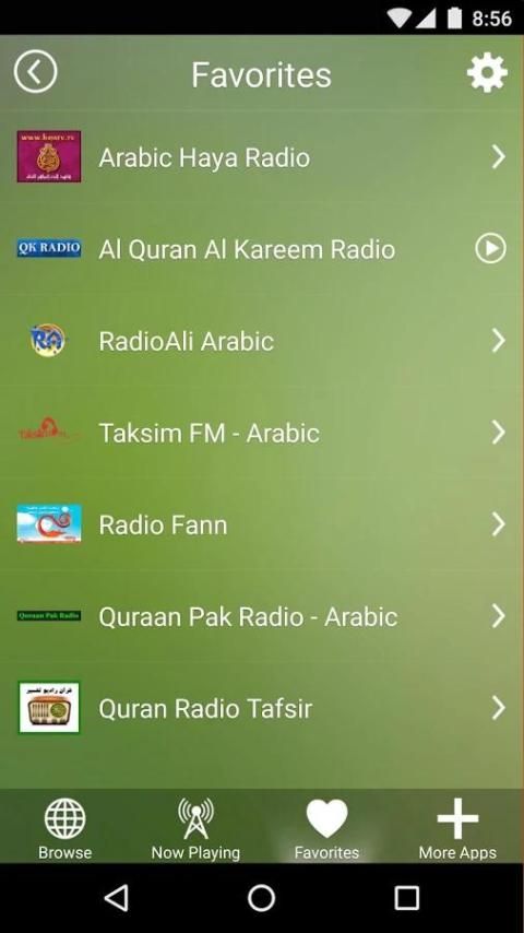 Islamic radios screenshot 1