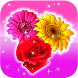 Blossom Crush icon