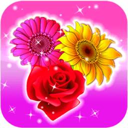 Blossom Crush 1.3