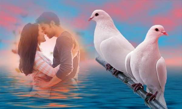 Birds Photo Frames скриншот 2