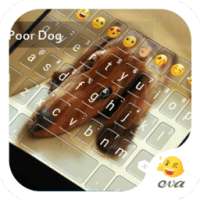 Lovely Dog -You Are So Smart on 9Apps