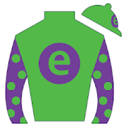 e5 Racing आइकन