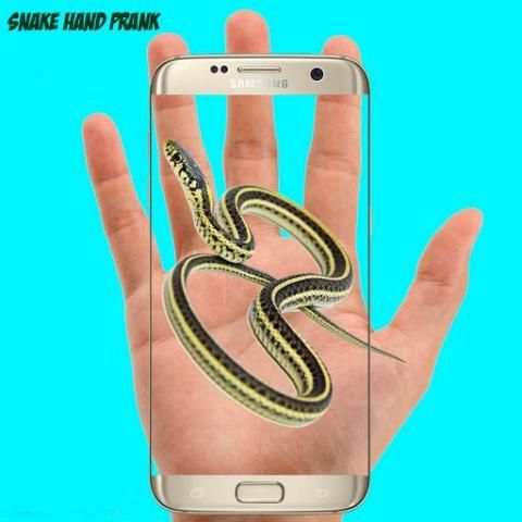Snake Hand Funny Prank 6 تصوير الشاشة