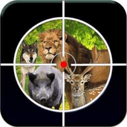 Animal Sniper Shooting 3D