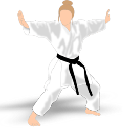 ikon Karate All Shotokan Katas