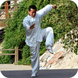 Kung Fu Learning -Training App иконка