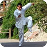 Kung Fu Learning -Training App on 9Apps