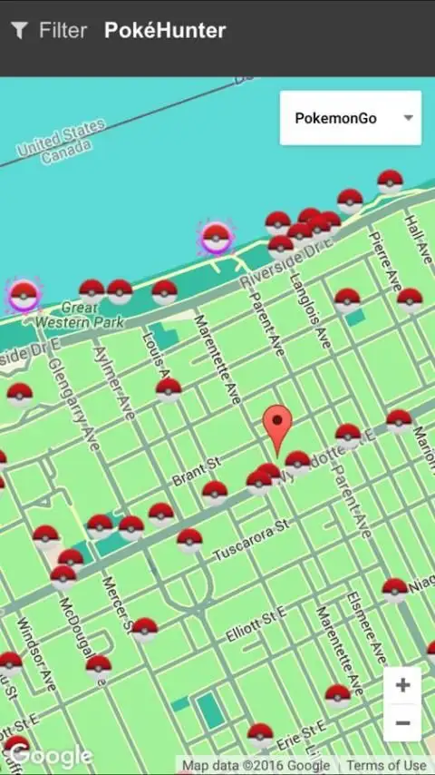PokeHunter скриншот 1