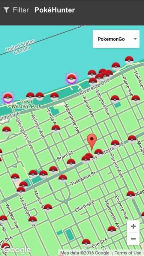 PokeHunter скриншот 1