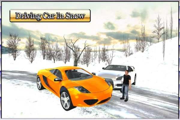 Driving Car In Snow screenshot 5