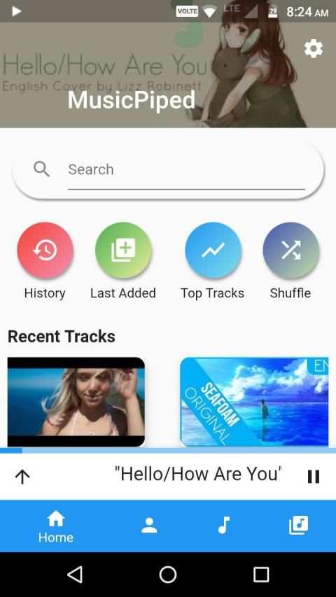 MusicPiped screenshot 4