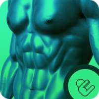 Get Rid of Belly Fat : 7 days on 9Apps