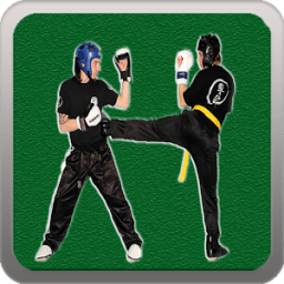Wing Chun icon