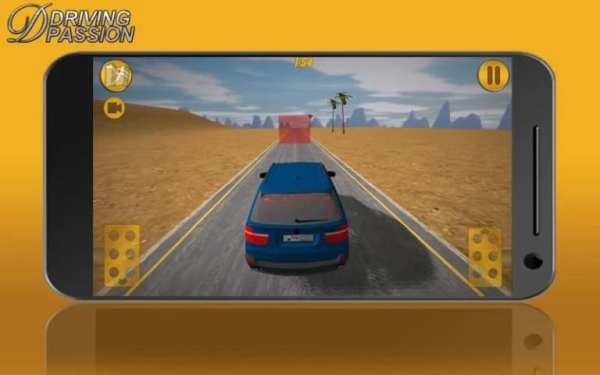 DRIVING PASSION screenshot 3