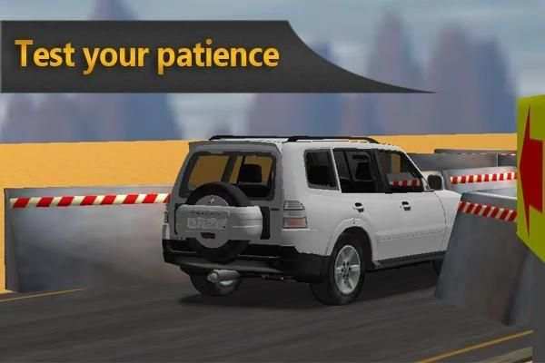 DRIVING PASSION screenshot 8