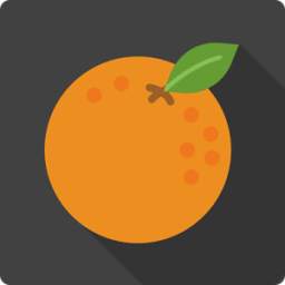 Healthy Recipes: FitOrange