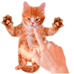 रियल talking cat आइकन