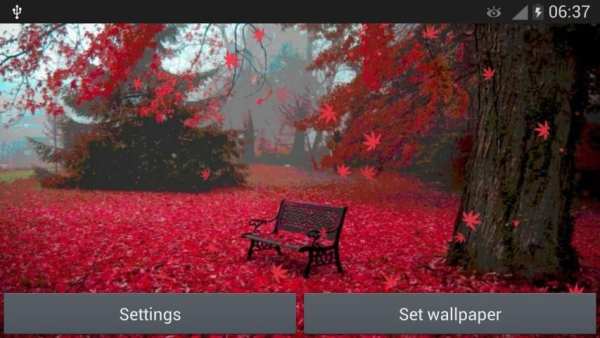 Red Leaves Live WallPaper screenshot 3