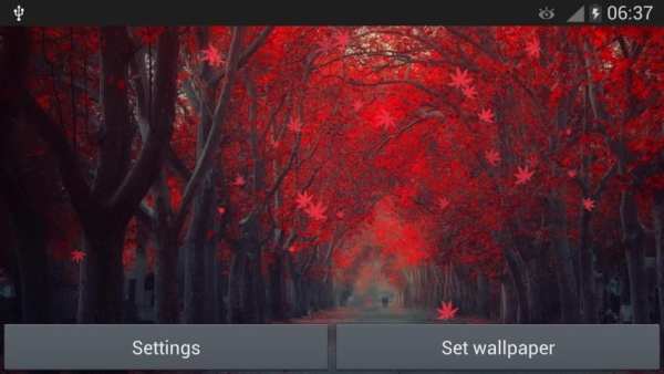 Red Leaves Live WallPaper screenshot 2