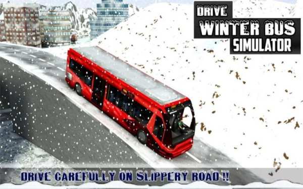 Winter Bus Drive - Tourist Sim screenshot 12