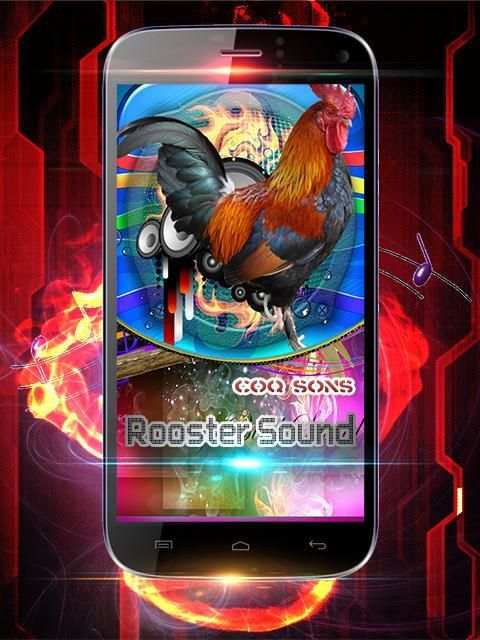 Rooster Sound Free скриншот 2