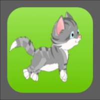 Running Cat In Jungle