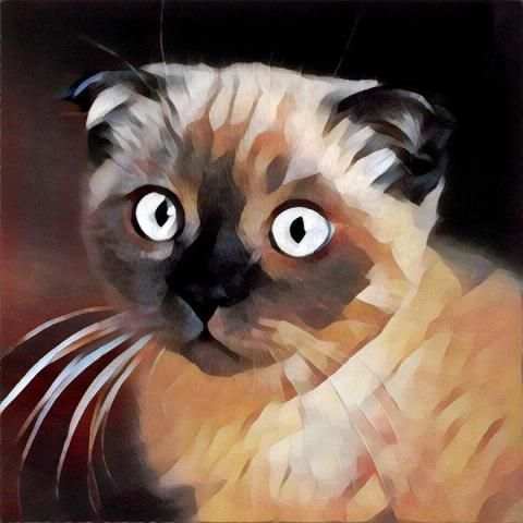 Camera Filter for Prisma screenshot 2