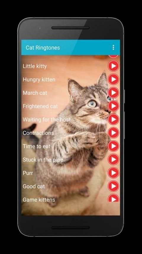 Cat Sounds Ringtones Purr скриншот 2