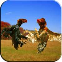 Farm Deadly Gallo Fighting 3D