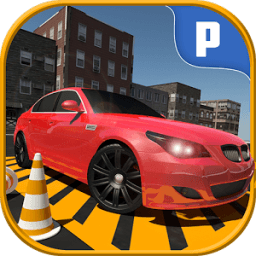 Car Parking Simulator أيقونة