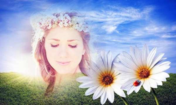 Flower photo frame 1 تصوير الشاشة