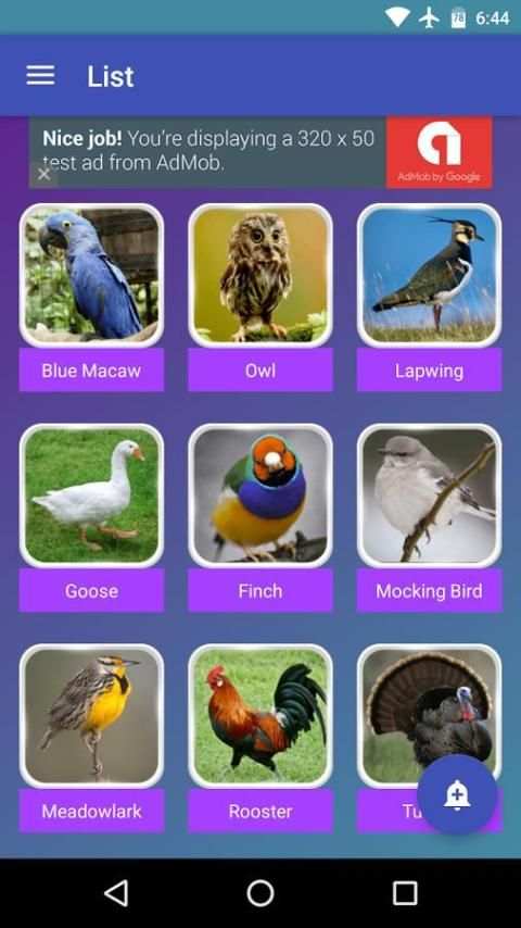 Birds Sounds स्क्रीनशॉट 2
