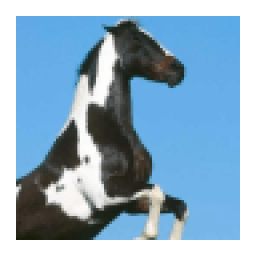 ikon Horse Wallpapers