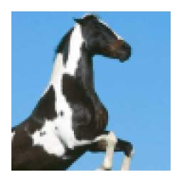 Horse Wallpapers 1.2