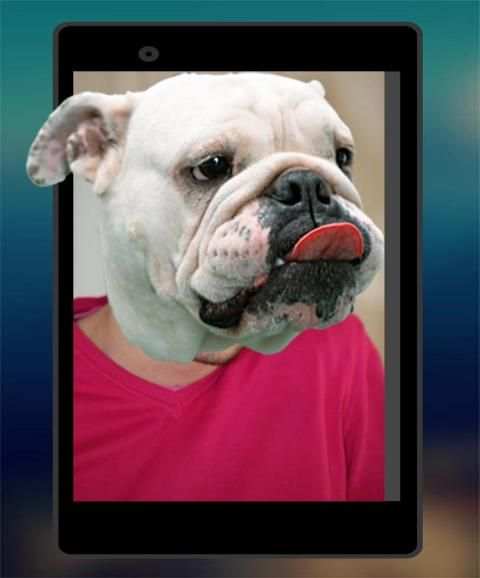 تركيب وجه الحيوان screenshot 1