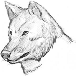Drawing Wolf icon