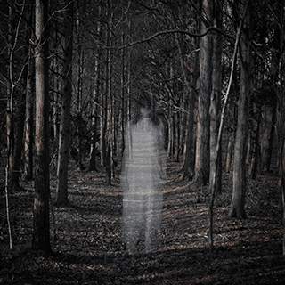 Ghost In Photo Maker screenshot 2