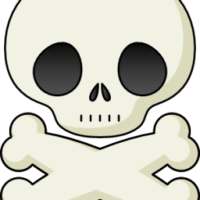 Skull - IMAGE Flashcards on 9Apps