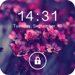 ikon Keypad Lock Screen