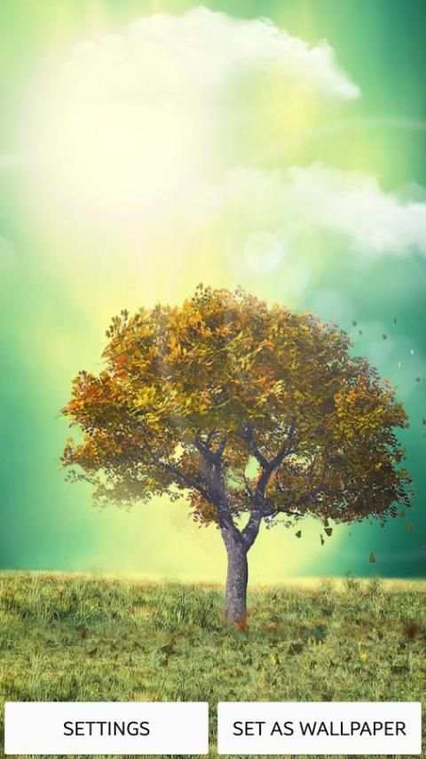Nature Live Wallpaper screenshot 1