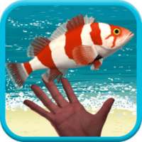 Catch Flying Fish Game