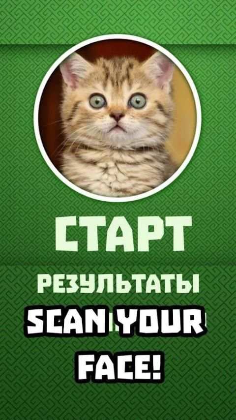 Face Scanner Cats Simulator 3 تصوير الشاشة