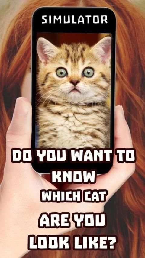 Face Scanner Cats Simulator 4 تصوير الشاشة