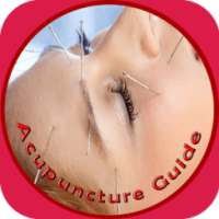 Acupuncture Guide 3D Manual