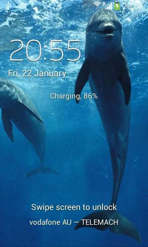 Dolphins Live Wallpaper screenshot 5