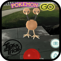 Guide for Pokemon GO icon